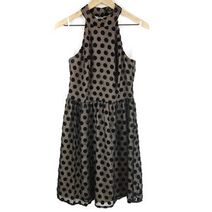 Ark & Co Halter Black Polka Dot Dress Sz Medium